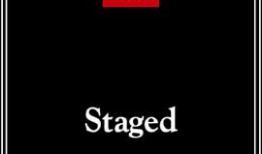 91直播nba蜜柚,打造篮球迷专属互动平台